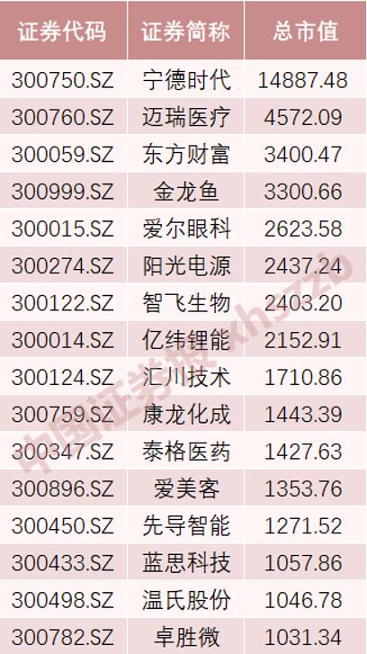 迈瑞医疗国内上市最新进展报告概览