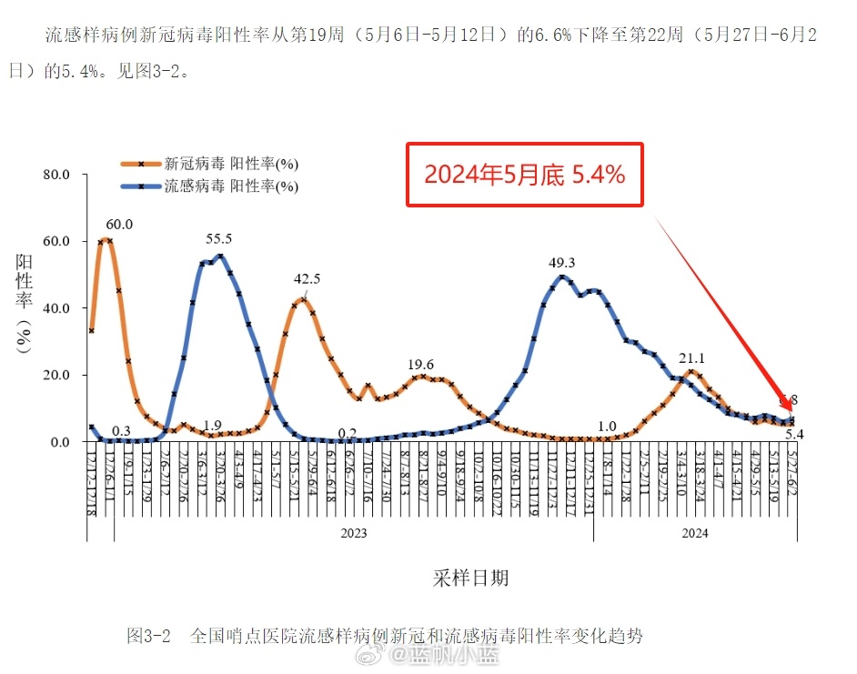 2024年11月份新病毒｜深度解答解释定义