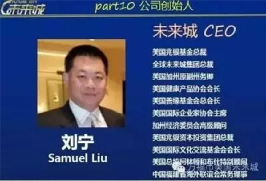 万福币与刘宁最新动态，揭示未来金融趋势的探索